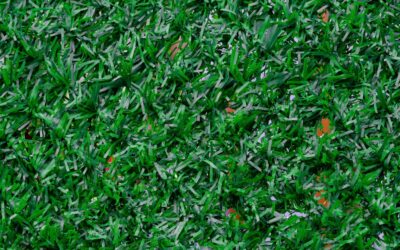 Welche Kunstrasen-Option lohnt sich mehr: selbst verlegen oder Verlegung vom Profi, wenn ich ein dauerhaft faltenfreies Ergebnis will?